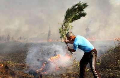 تصاویر/ تنها جزیره ایرانی خزر در آتش سوخت