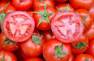 خبرگزاری دولت: گوجه"اتفون"دارد؛ نخورید!