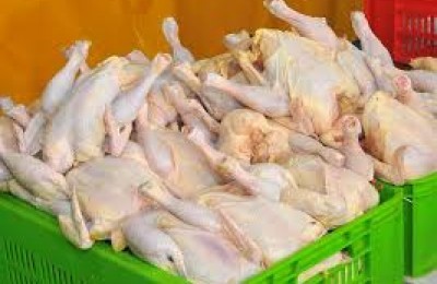 تنظیم بازار با عرضه مرغ 5500 تومانی