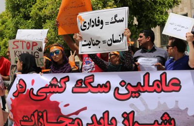 تصاویر/ تجمع در اعتراض به سگ‌کشی در شیراز