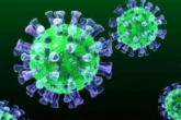 آیا ویروسها زنده اند؟