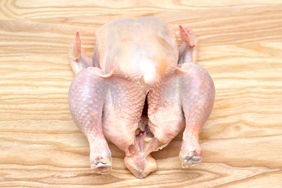 مضرات گوشت مرغ مجله سلامت اخبار ساوه آموزش آشپزی