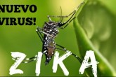 «zika »بلای جان المپیک 2016