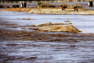 کشف جسدی مجهول الهویه در ساحل رودخانه دز
