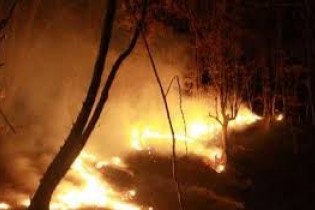 آتش سوزی در 1500 متر فضای سبز مهار شد