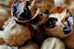 لیمو عمانی موجود در غذا را نخورید