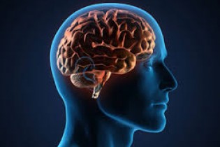 در مغز بیماران روانی چه می‌گذرد؟