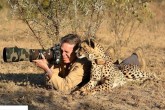 تصاویر/ فیلمبرداری از حیوانات درنده به فاصله بسیار نزدیک