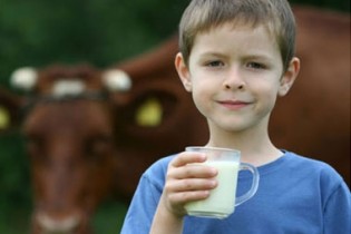 روش صحیح خوردن شیر از نظر طب سنتی