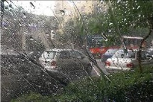 بارش باران در گیلان و اردبیل
