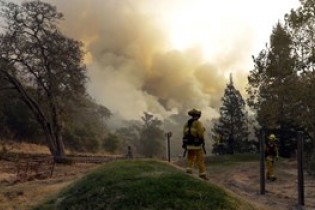 مرگ 40 نفر در آتش سوزی جنگل های کالیفرنیا