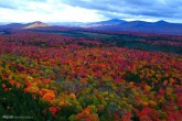 تصاویر/ طبیعت رنگارنگ پاییزی را ببینید