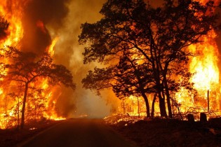 فیلم/ رانندگی در جهنمی از آتش و دود ‌در کالیفرنیا
