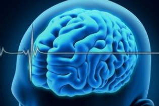 دانشمندان منبع اضطراب در مغز را شناسایی کردند!