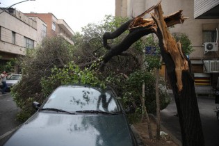 اعلام خسارات اولیه طوفان در تهران