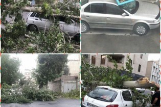 طوفان در استان تهران جان یک نفر را گرفت
