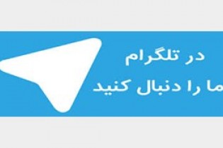 کلاهبرداری در فضای مجازی با صیغه یابی تلگرامی