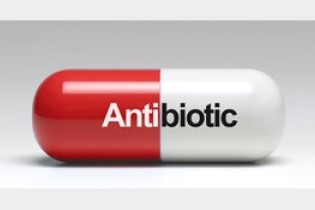 تاثیر مصرف آنتی‌بیوتیک بر کلیه ها