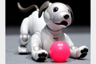 سگ های روباتیک سونی 100 چهره  را تشخیص می دهند