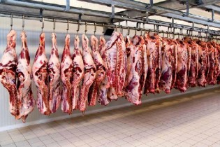 تداوم افزایش قیمت گوشت گوسفندی/پیش بینی کاهش نداریم
