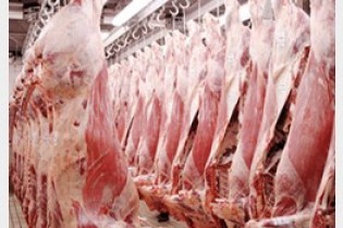 ثبات قیمت گوشت در بازار/ واردات و توزیع گوشت منجمد بدون محدودیت
