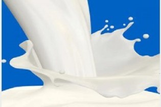 قیمت شیر درب کارخانه؛ ۲۰۰۰ تومان /لبنیات دیگر گران نمی شود