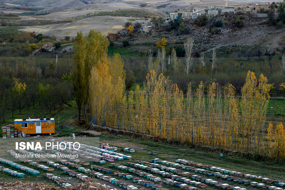 ایران زیباست؛ پاییز در شهرستان «اهر»