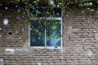 تداوم بارش برف و باران در تهران