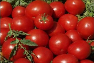 صادرات گوجه آزاد شد/ صادرات تخم مرغ ممنوع