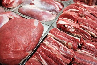 واردات گوشت رانتی نیست