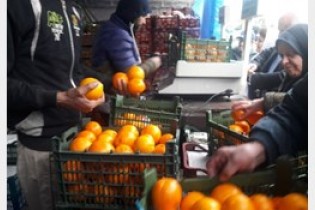 میوه تنظیم بازاری را از کجا بخریم؟+قیمت