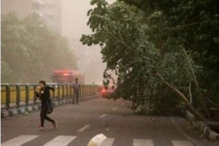 وزش باد نسبتا شدید در تهران طی امروز/سالم بودن کیفیت هوای تهران