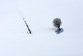 طبیعت برف‌پوش در منطقه «کالپوش»