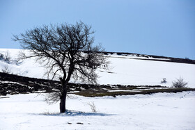 طبیعت برف‌پوش در منطقه «کالپوش»