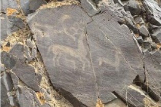 کشف عجیب از نقاشی‌های سنگی حیوانات 3500‌ ساله