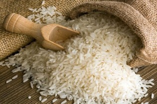 ارز واردات برنج همچنان۴۲۰۰تومان است/بازار با کمبود برنج ربرو نیست