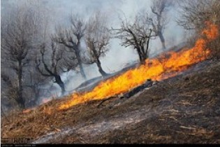 مهار آتش سوزی در جنگلهای آستارا