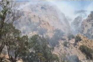 آتش سوزی "دشتک دیل" گسترده است/ درخواست کمک از تیم های کوهنوردی