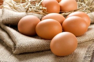 آغاز جمع‌آوری تخم‌مرغ مازاد / قیمت حدود ١٠٠٠ تومان افزایش یافت