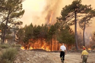 هشدارِ تشدید آتش‌سوزی‌های طبیعی در سراسر اروپا
