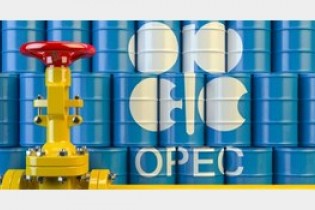 سبد نفتی اوپک ارزان شد/هر بشکه ۵۷.۹۶ دلار