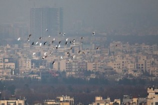 آلودگی در شهرهای بزرگ/بارندگی در خلیج فارس