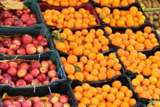 قیمت گوجه یکماهه ۵۵.۵ درصد افزایش یافت/کاهش ۲۵ درصدی قیمت پرتقال