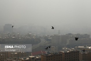 آلودگی هوا؛ علت مرگ ۳هزار تهرانی بالای ۳۰ سال در سال گذشته