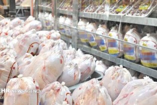 کاهش ۱۱ درصدی قیمت اجزا و قطعات مرغ در میادین میوه و تره بار