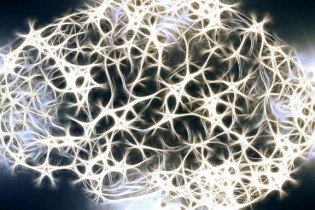 ابداع یک مدل رایانه‌ای برای بررسی آسیب‌های مغز پس از سکته