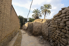 تخریب " شارع الشیوخ"  400 ساله