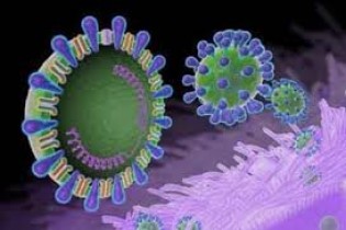 کروناویروس در امارات مشاهده نشده است