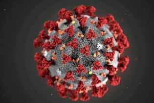 تاکنون ۲ نوع از "کرونا ویروس" در جهان شیوع پیدا کرده است