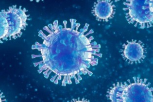 ویروس کرونا ۲۰۱۵ در آمریکا تولید شده است